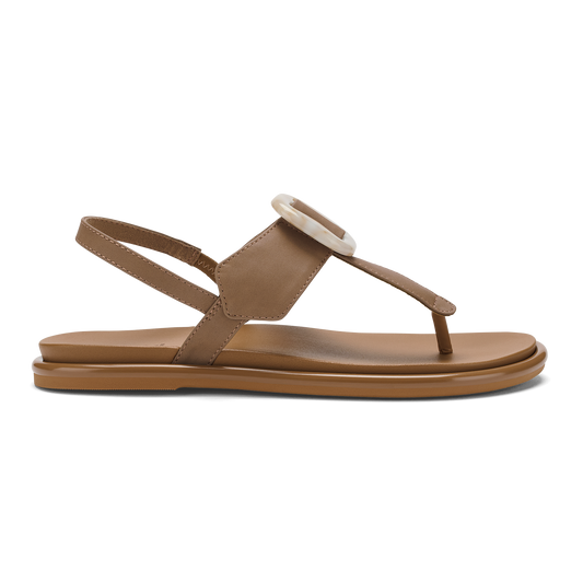 Tan / Tan