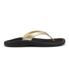 Gold / Black